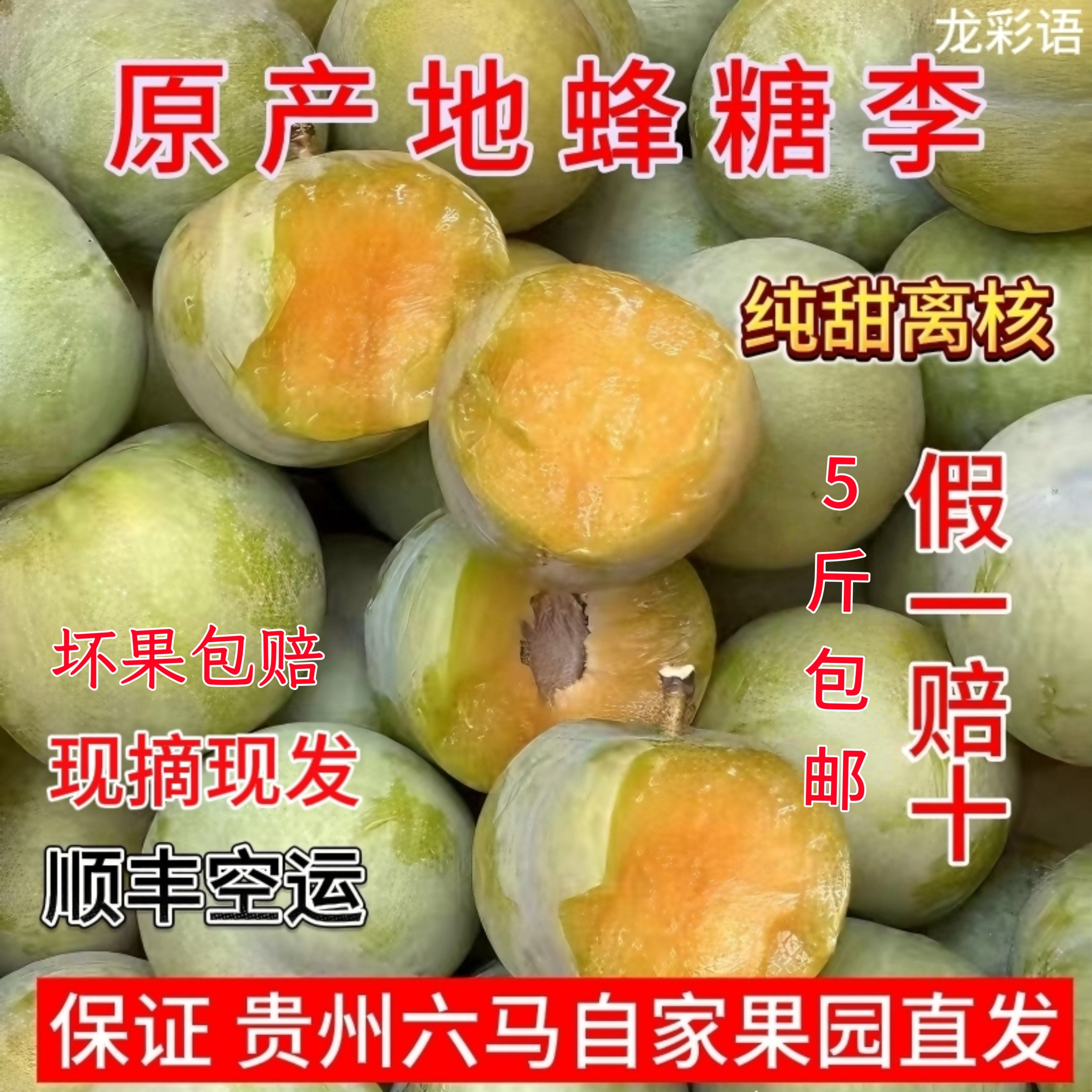蜂糖李 贵州 镇宁新鲜脱骨李子应季水果蜂蜜李果青脆李顺丰空运