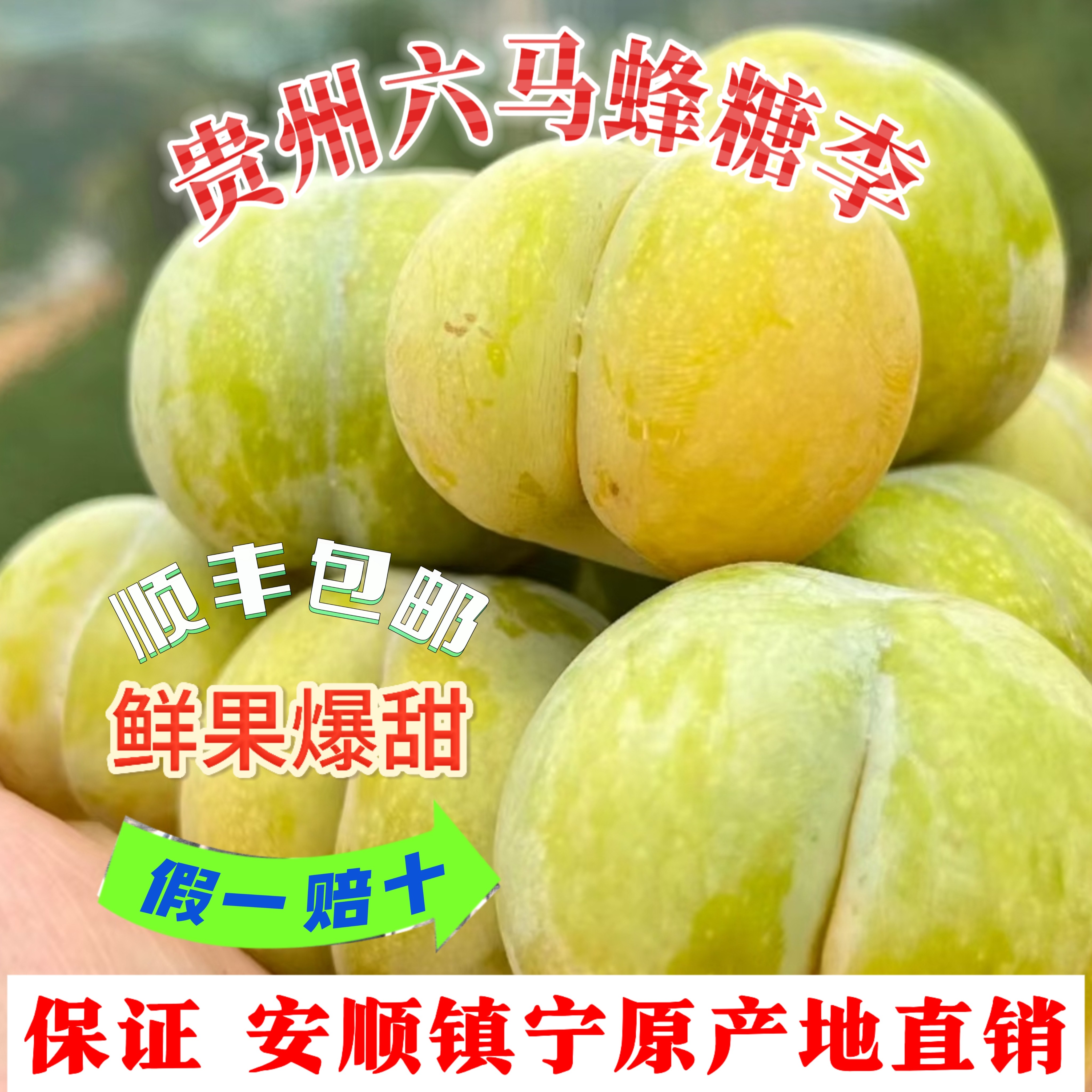 【假一赔十】蜂糖李正宗贵州六马原产地现摘现发新鲜当季脆甜水果
