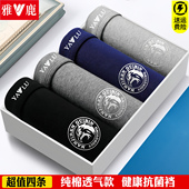 男纯棉平角裤 青年中腰短裤 底裤 雅鹿内裤 全棉抗菌裆透气四角短裤 头