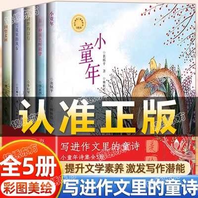 写进写在作文里的童诗全5册
