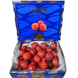 现货空运智利樱桃李5J大果纯甜新鲜时令水果李子5斤洋李子顺丰