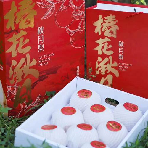 冰糖脆甜秋月梨入甜日本引进品种