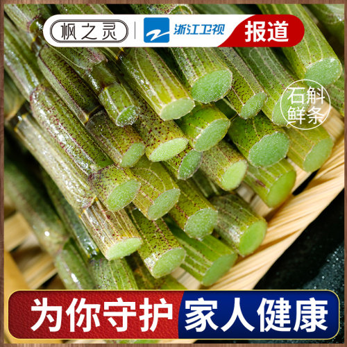 正宗雁荡山铁皮石斛鲜条新鲜采摘