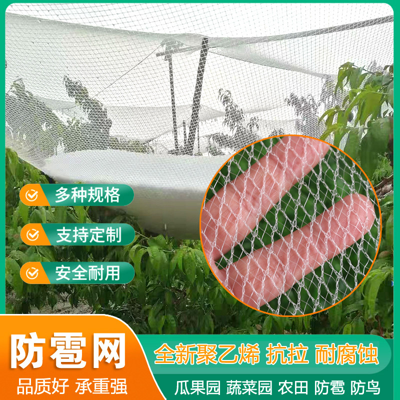 防鸟网 防雹网果树果园专用冰雹网厂家直销全新料菜园防雹防鸟网
