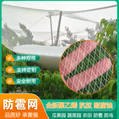 防鸟网 防雹网果树果园专用冰雹网厂家直销全新料菜园防雹防鸟网