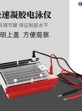 六一快速凝胶电泳仪DYCP-44N实验室PCR样品DNA鉴定DYCP-44P电泳槽