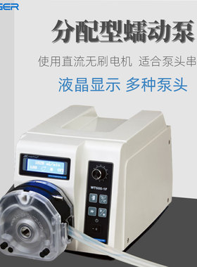 兰格蠕动泵WT600-1F分配型分装灌装泵串联泵头实验大流量恒流泵
