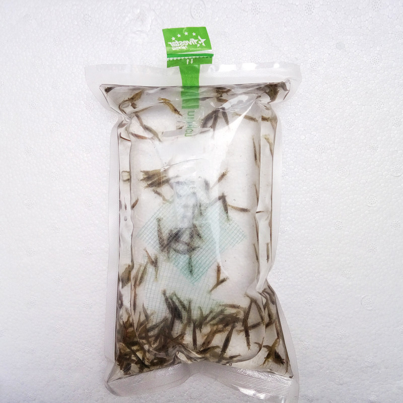 黑壳虾除藻淡水活体宠物观赏虾清虾