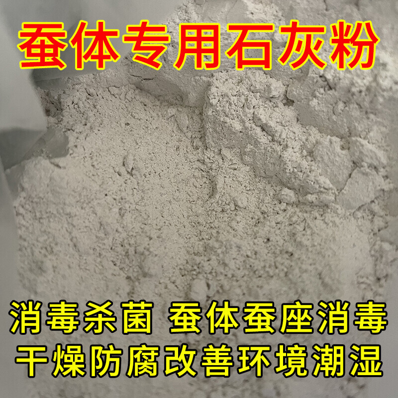 蚕宝宝专用石灰粉小蚕宝实用工具消菌杀毒防潮养蚕病脱皮清理卫生图片