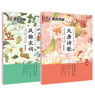 DS·墨点字帖：文学品读行书练字帖·大唐诗歌