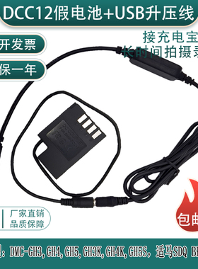 适用松下DMC-GH3 GH4 GH5 GH5S G9LGK BLF19E假电池外接充电宝USB