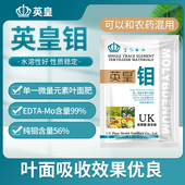 英皇熬合钼肥促进豆角大豆增荚保花花生促分针提高坐果率叶面肥