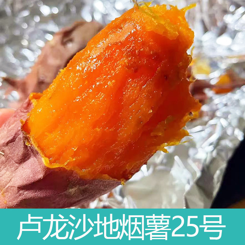 卢龙烟薯25秦皇岛蜜薯沙地红薯