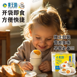 【上新】黄天鹅即食淡盐味溏心蛋八分熟流心早餐12枚独立装624g