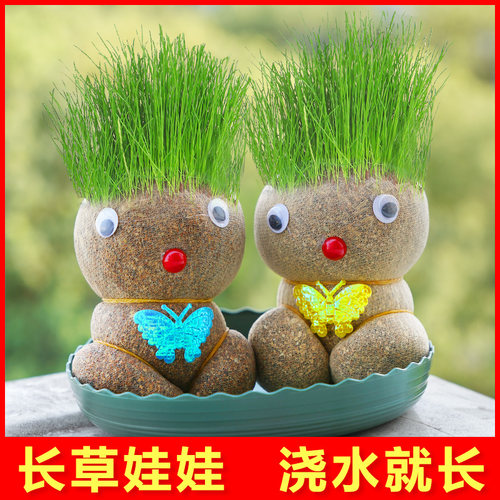 草头娃娃头上长草人小盆栽种