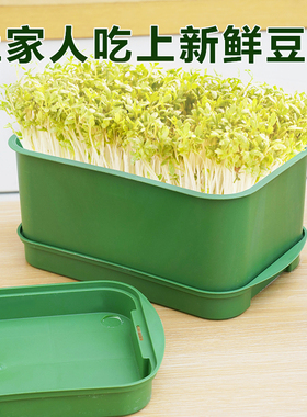 四季吃新鲜豆芽全自动豆芽发芽神器食品级大号水培育苗托盘专用盆