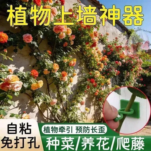 月季爬墙固定器绿萝爬藤杆上墙不伤墙爬墙花爬上神器蔷薇绿植卡扣