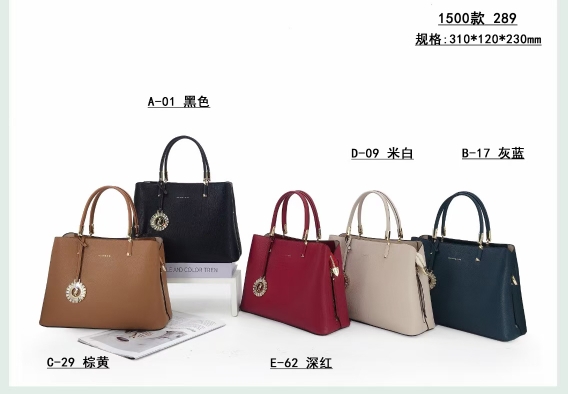 专柜正品新款高级感轻奢手提单肩斜挎女包大容量气质妈妈款百搭