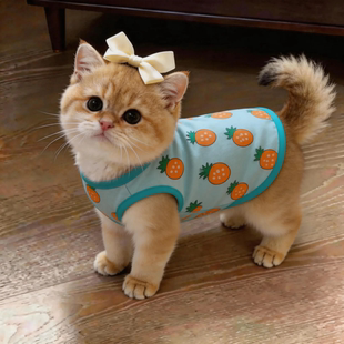 猫咪衣服夏季背心薄款防掉毛蓝猫英短布偶宠物狗狗清凉透气防晒衫