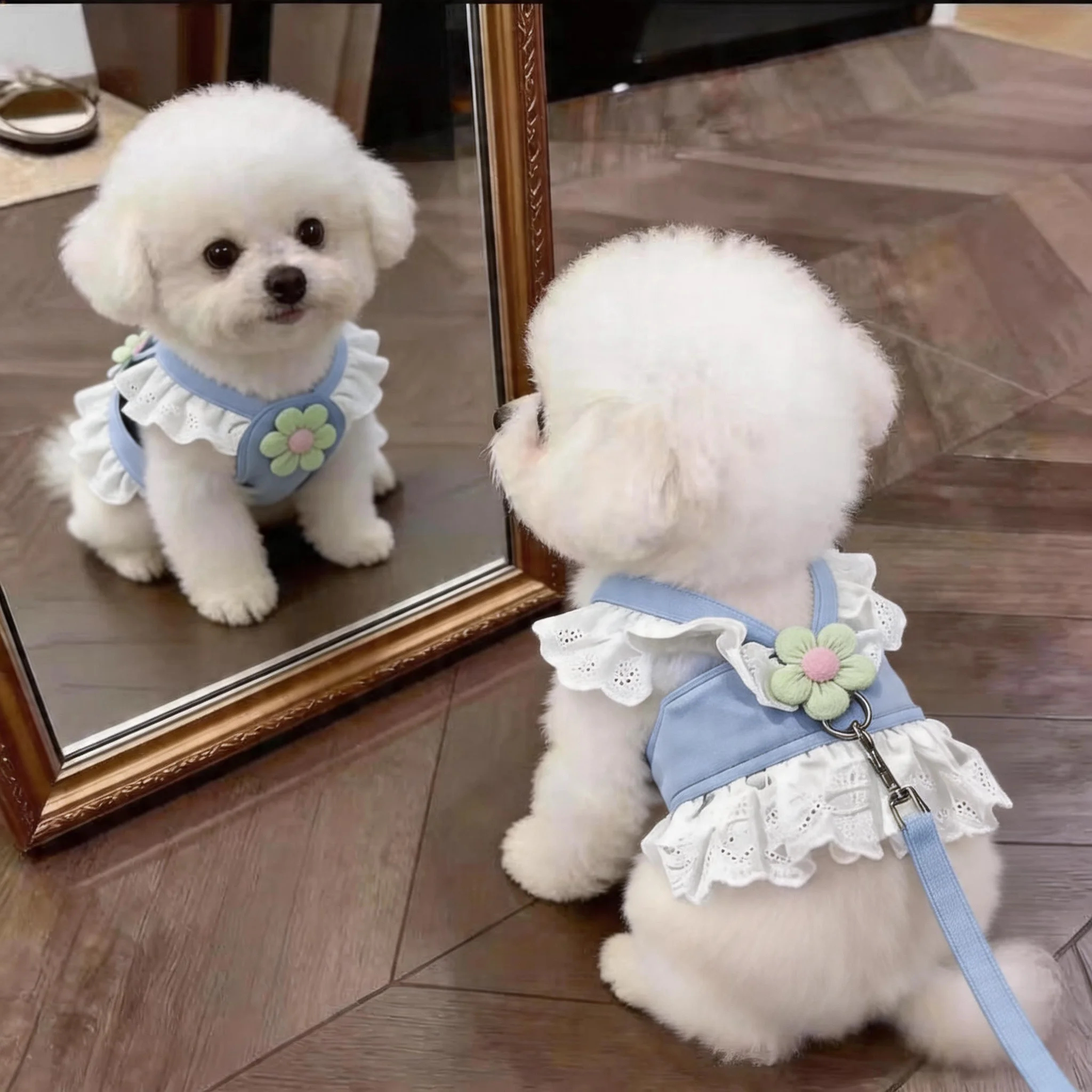 狗狗牵引绳小型犬蕾丝花边胸背裙甜美薄款幼犬外出专用衣服春夏季