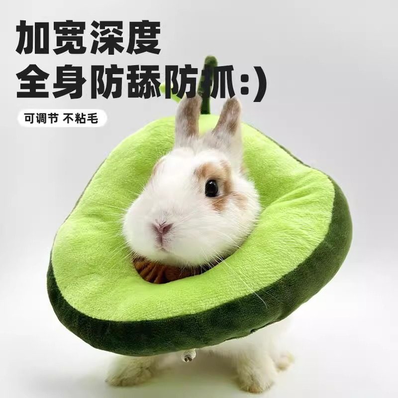 兔子伊丽莎白圈宠物防咬项圈龙猫豚鼠防抓咬脖套甜甜圈皮肤病围脖,宠物/宠物食品及用品,兔兔其他,淘宝优惠券,粉丝福利购,淘宝优惠卷