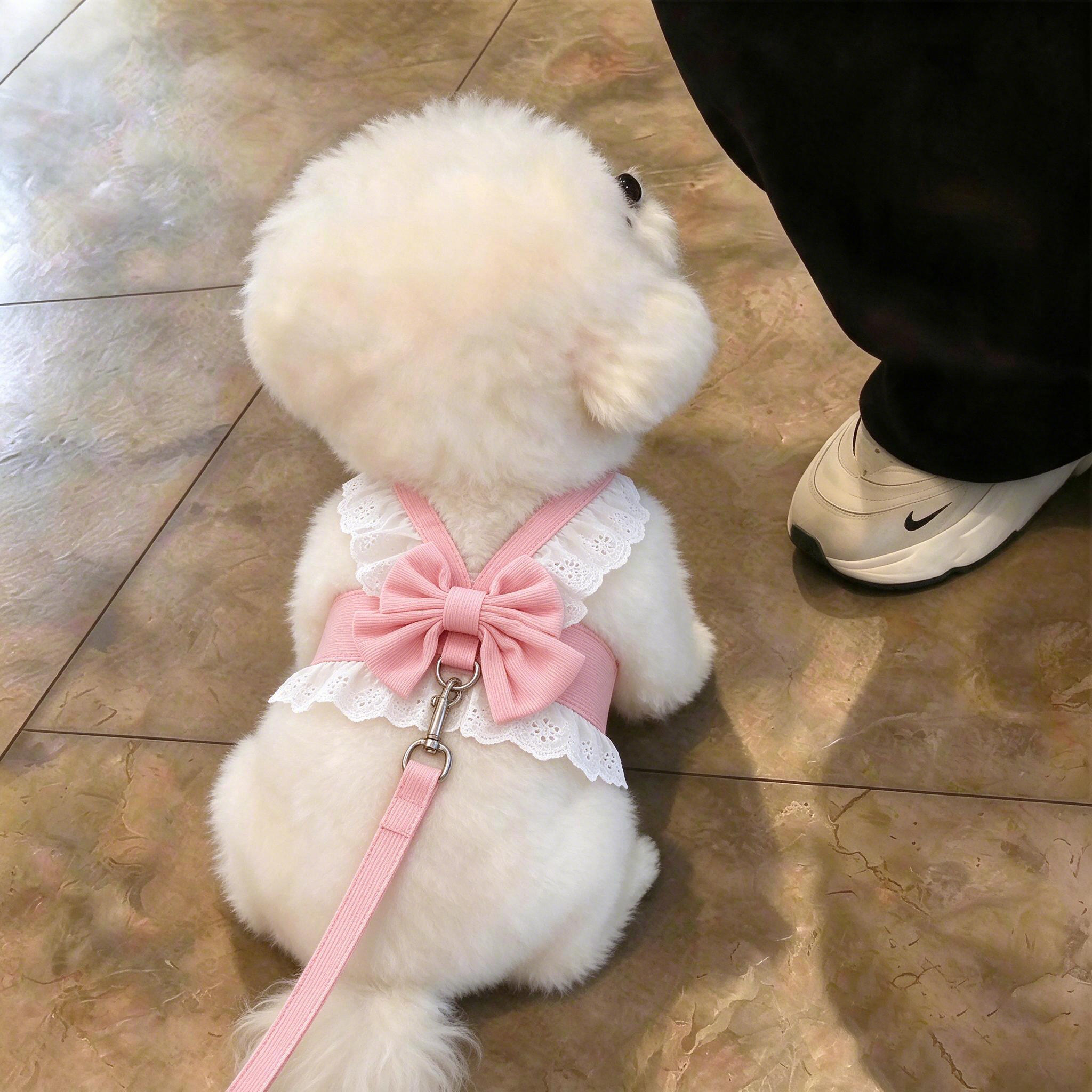 狗狗牵引绳小型犬蕾丝边胸背带裙子甜美薄款幼犬外出专用牵引衣服