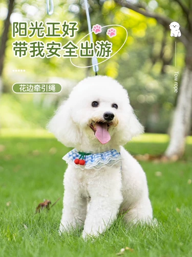 Поводок для собак Бишон фризе, милая прогулочная цепь для собак, шлейка для маленьких собак, поводок для щенков померанского шпица Тедди