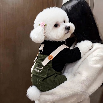 狗狗衣服春秋款比熊博美中小型犬可牵引帅气四脚衣宠物猫咪防掉毛