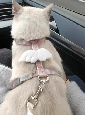 猫咪牵引绳可调节遛猫绳子可爱翅膀幼猫外出专用胸背带宠物狗用品