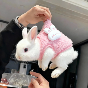 小兔子衣服超萌防寒侏儒耳朵兔小猫咪幼犬小型宠物保暖背心秋冬款