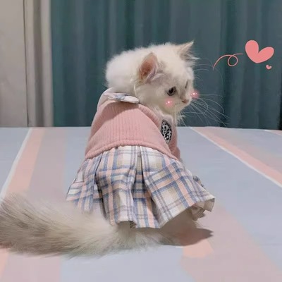猫咪衣服蓝猫可爱JK裙猫猫毛线裙