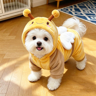 狗狗衣服冬季可爱小蜜蜂连帽棉衣加绒保暖泰迪比熊宠物猫咪防掉毛