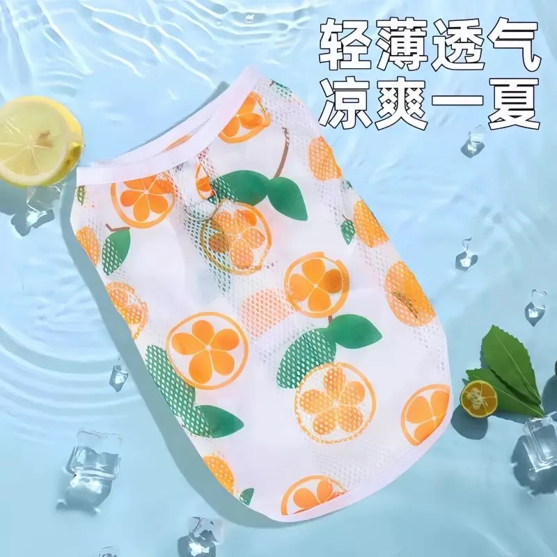 小狗狗衣服夏装薄款泰迪比熊柯基博美小型犬幼犬宠物猫咪透气背心