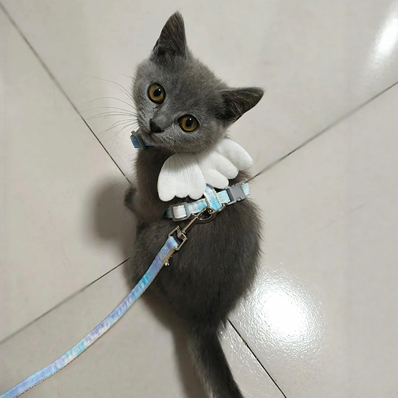 猫咪牵引绳防挣脱遛猫绳子可调节蓝猫布偶幼猫外出专用宠物胸背带
