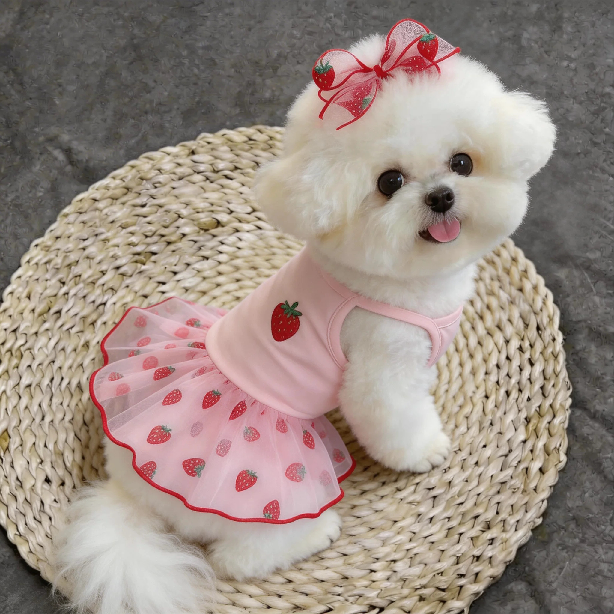 狗狗衣服薄款夏季裙子小型犬博美公主风宠物猫咪2026新款防掉毛图片