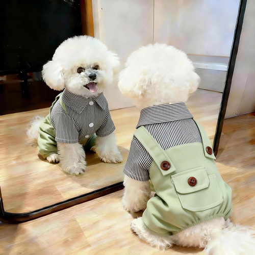 狗狗衣服宠物四脚衣可牵引背带裤