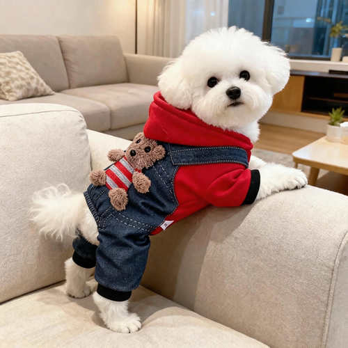 狗狗衣服秋冬装泰迪比熊博美加绒保暖小猫咪防寒带帽子小熊四脚衣