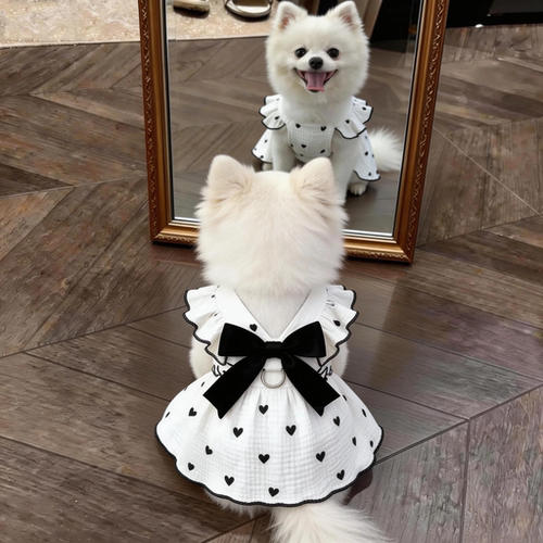 狗狗衣服夏季可爱公主风连衣裙比熊博美宠物猫咪透气蝴蝶结蓬蓬裙