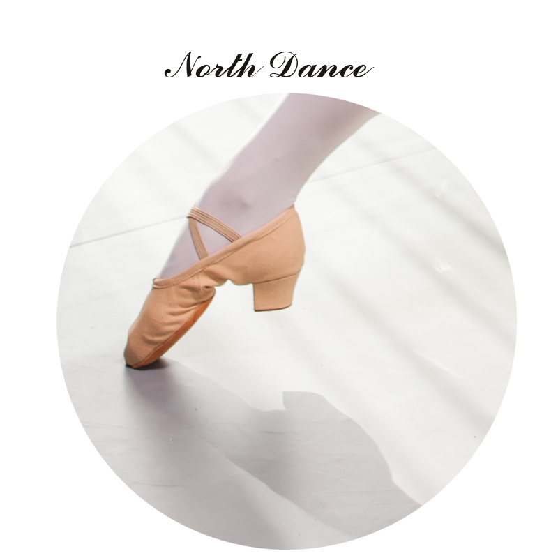 Northern dance female canvas teacher laces and dance shoes soft bottom shoes national dance yoga belly dance shoes ballet