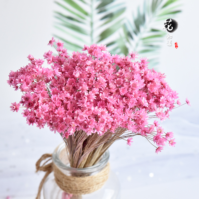 ¡¾ÌìÐǾա¿ÌìȻС³û¾ÕÒÕÊõ¸É»¨Ê÷Ö¦ÇåмҾÓ×°ÊΰÚÉè»¨ÊøÅÄÉãµÀ¾ß