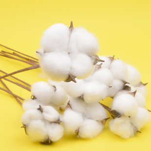 棉花干花天然花束麦穗永生花仿真棉花假花木棉花道具装饰家居摆件