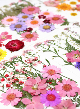 干花diy材料包 创意压花书签手工滴胶天然真花植物标本花材真树叶