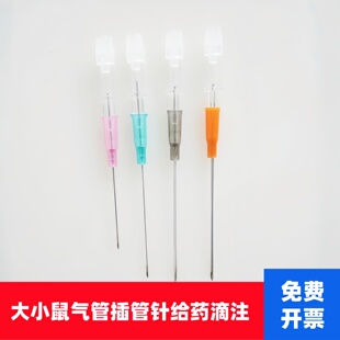 大小鼠气管插管针滴注给药呼吸辅助导管套管实验动物喉镜手术台