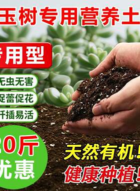 玉树专用土料有机土老桩多肉盆栽营养土长根旺长翠绿开花种植家用