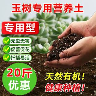 玉树专用土料有机土老桩多肉盆栽营养土长根旺长翠绿开花种植家用