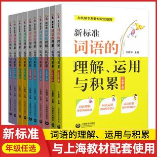 新标准词语的理解、运用与积累 二三四五六年级上下册/23456年级第一二学期 与统编本新教材配套使用 部编语文新教材同步训练习题
