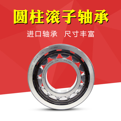 进口skf轴承 N/NUP 312 313 314 315 EC ECJ ECP ECM ECML M /C3