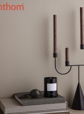 zenthom/ Avant Candelabra先锋艺术造型金属烛台软装摆件