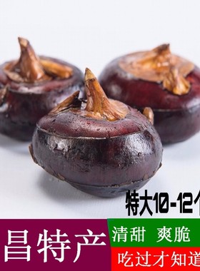乐昌北乡马蹄荸荠地栗乌芋 绿色新鲜水果蔬菜 广东土特产10斤特大