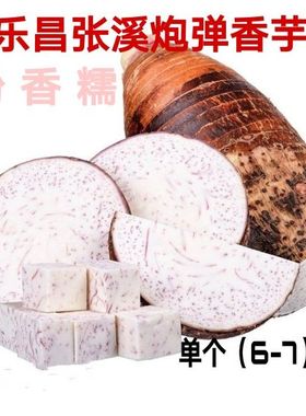 新鲜乐昌张溪芋头农家绿色蔬菜炮弹香芋正宗韶关香芋大芋头